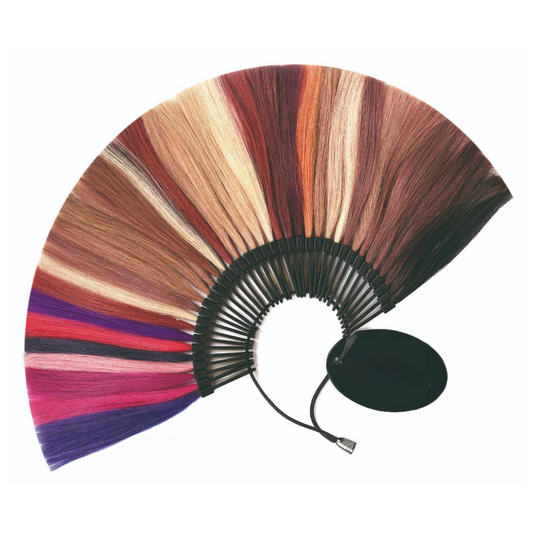 Accessori 1